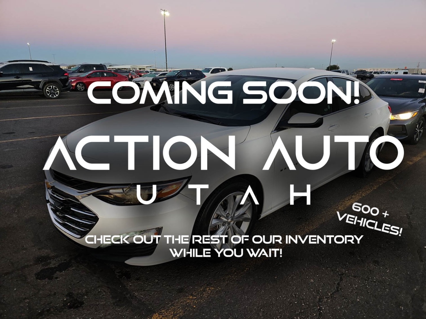 2023 Chevrolet Malibu 1LT's photo