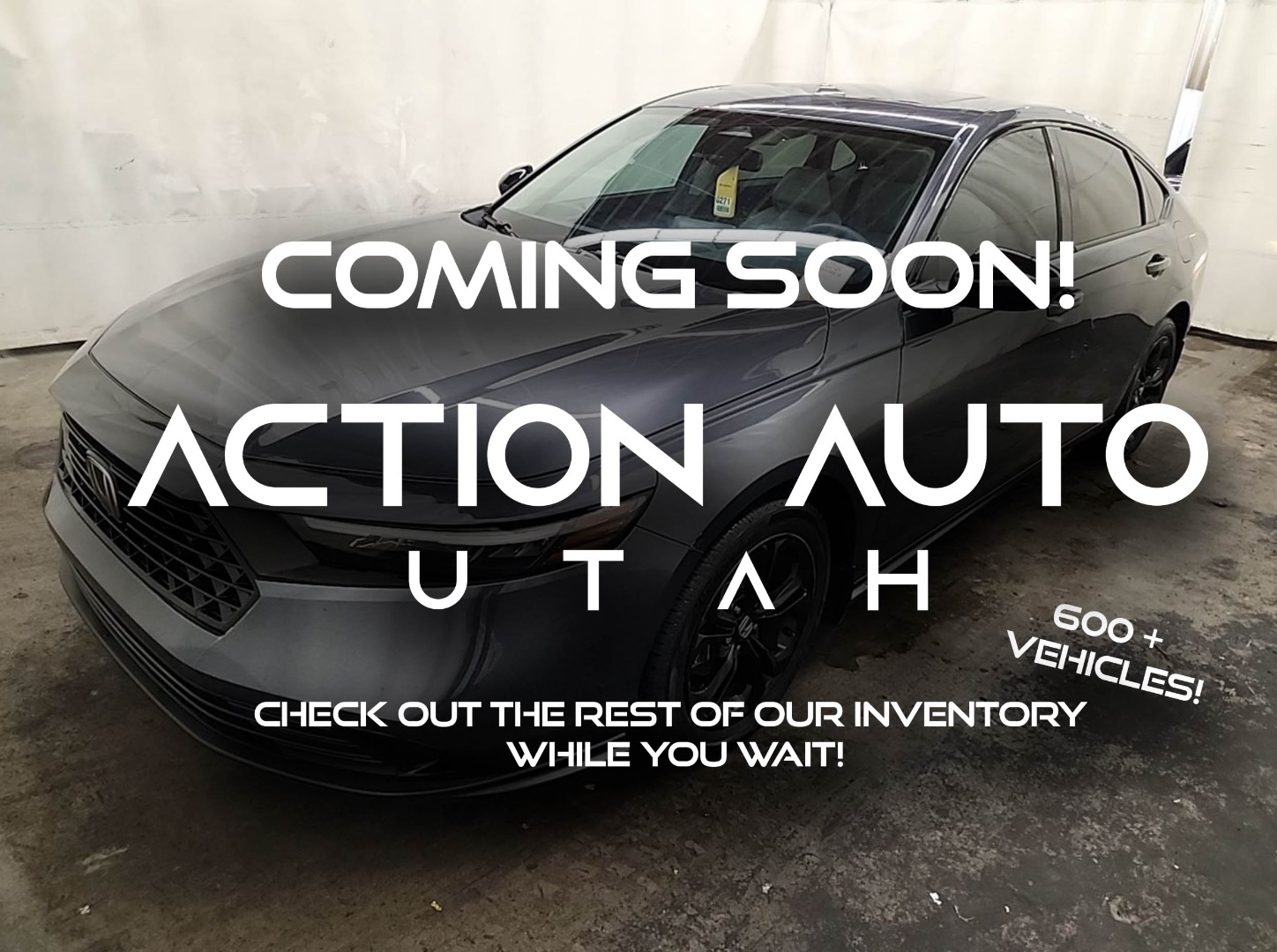 2025 Honda Accord SE's photo