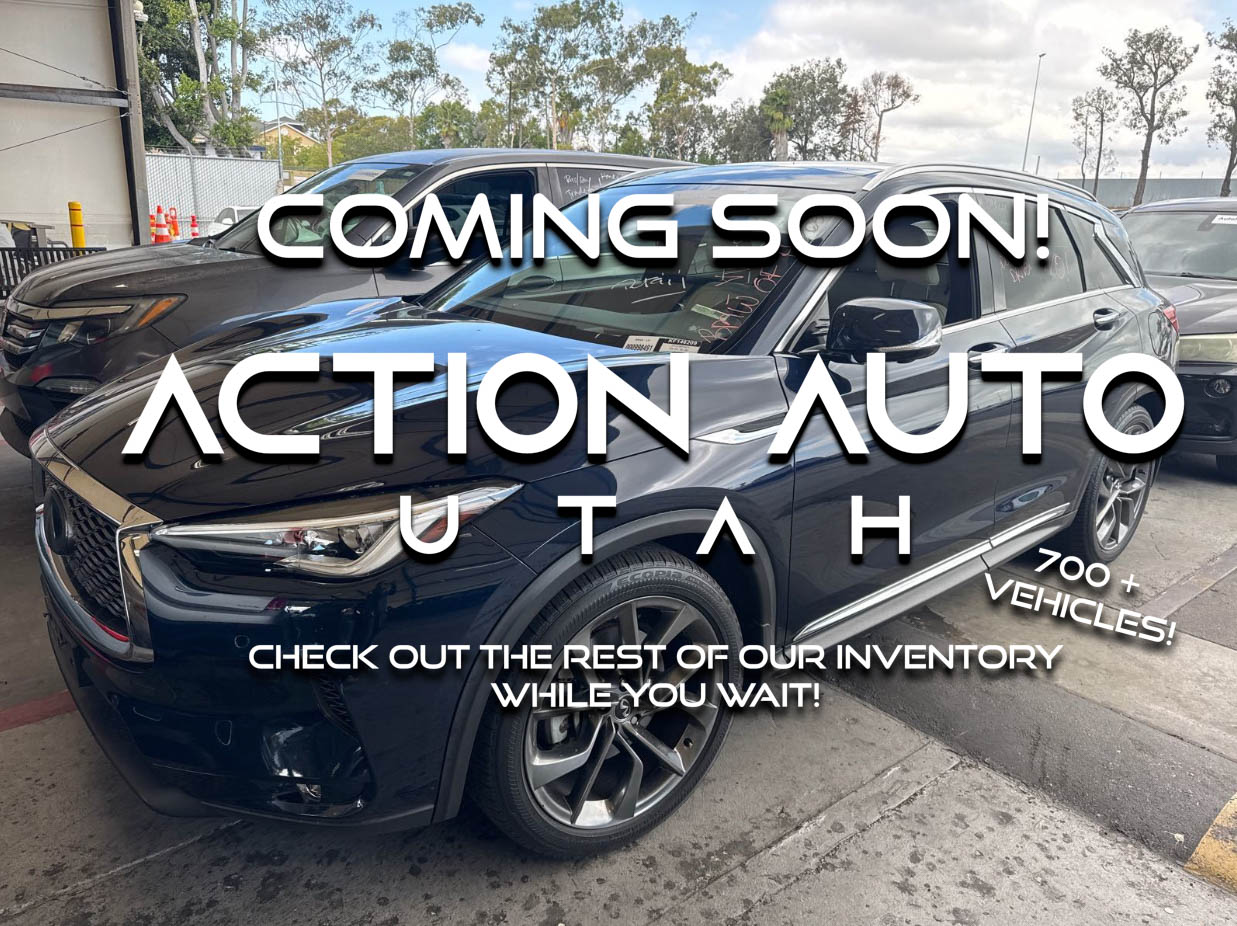 2019 INFINITI QX50 Luxe's photo