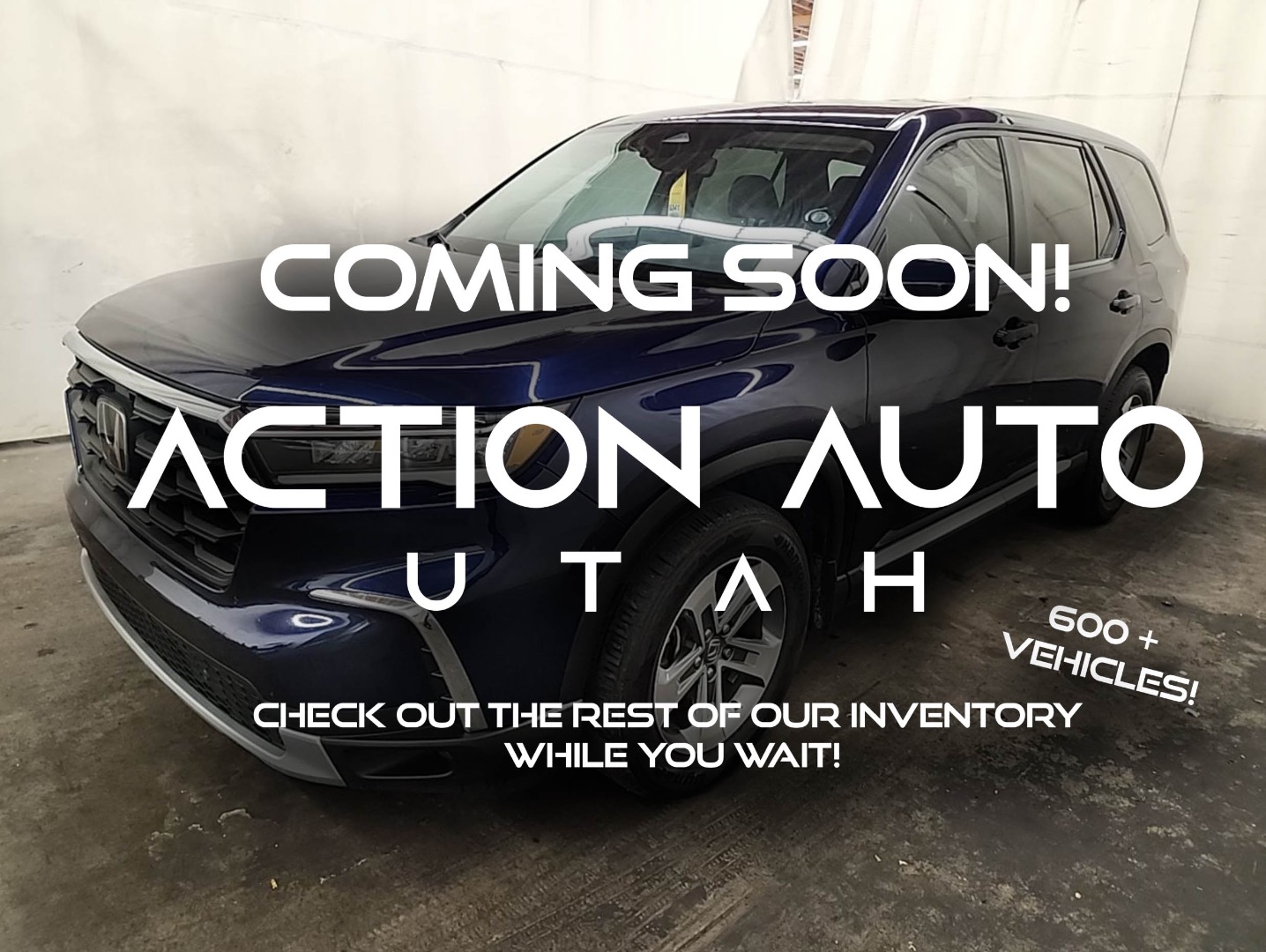 2024 Honda Pilot EX-L's photo