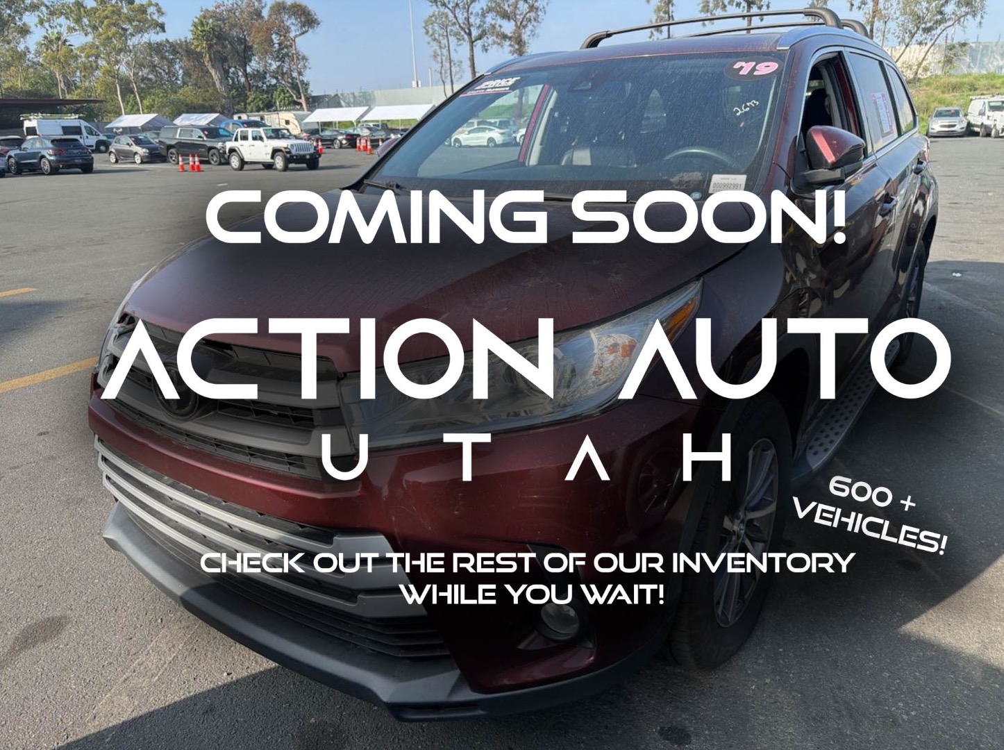 2019 Toyota Highlander XLE's photo