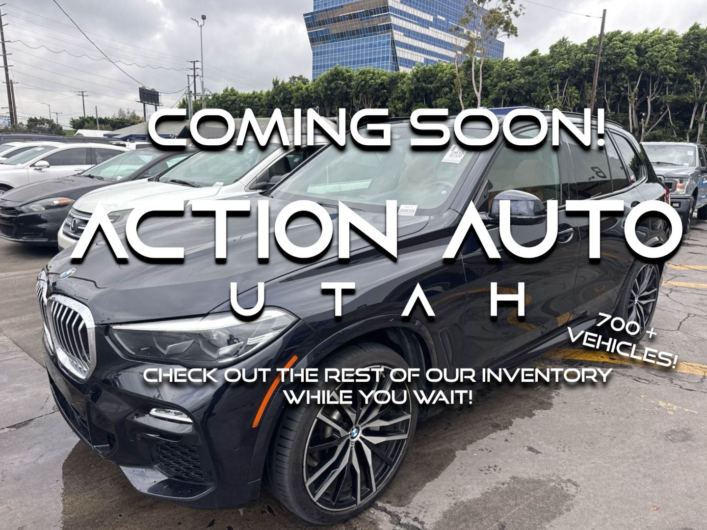 2019 BMW X5 40i's photo