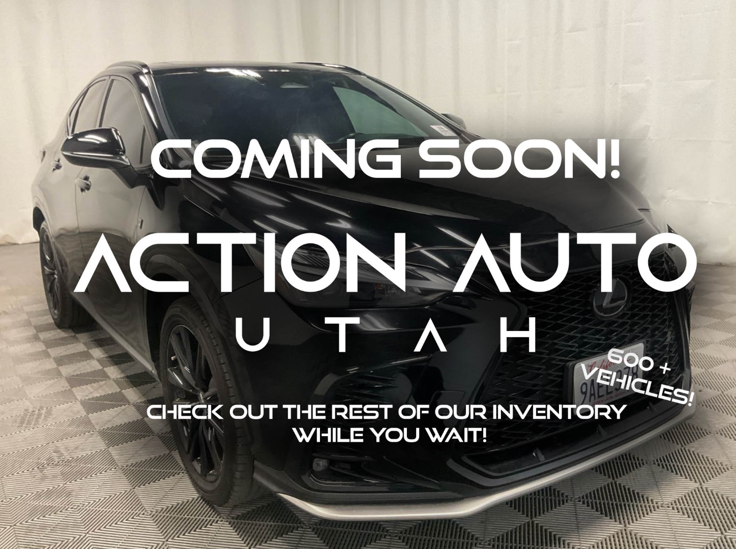 2022 Lexus NX 350's photo