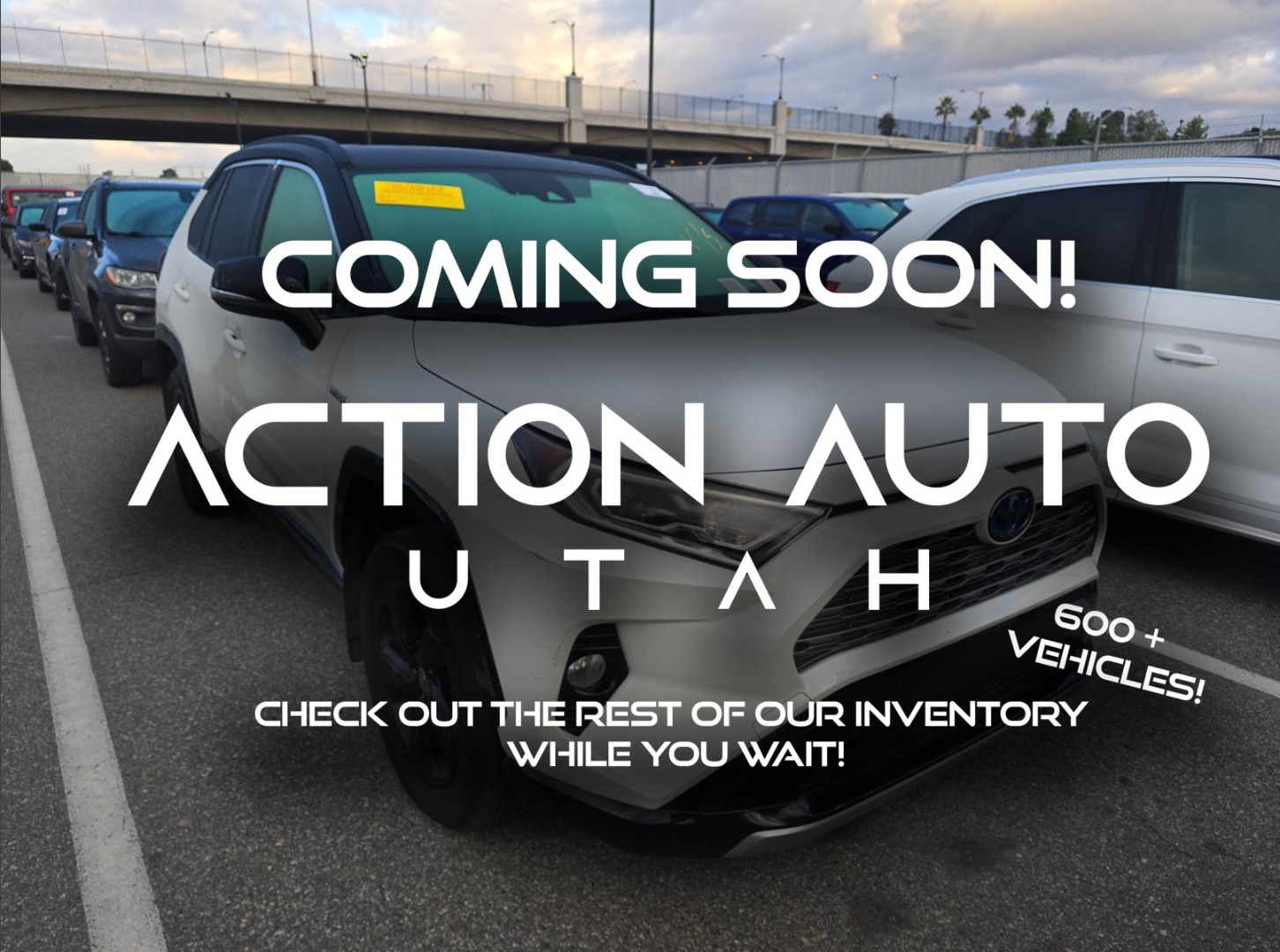 2019 Toyota RAV4 XSE's photo