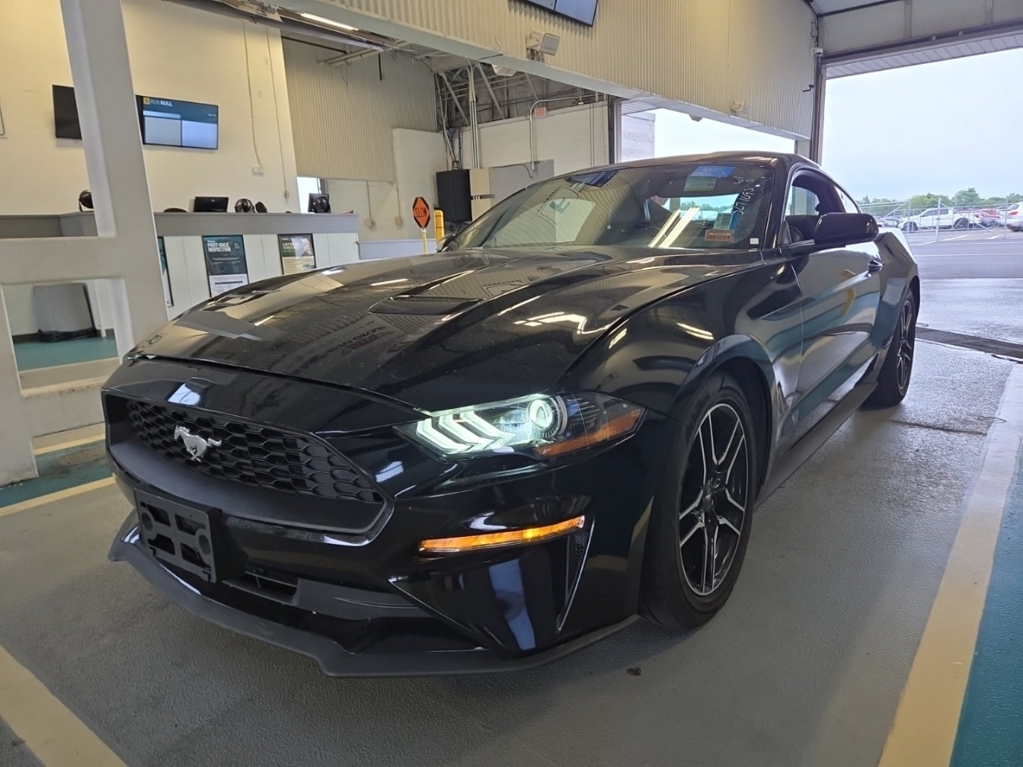 2023 Ford Mustang EcoBoost photo 3