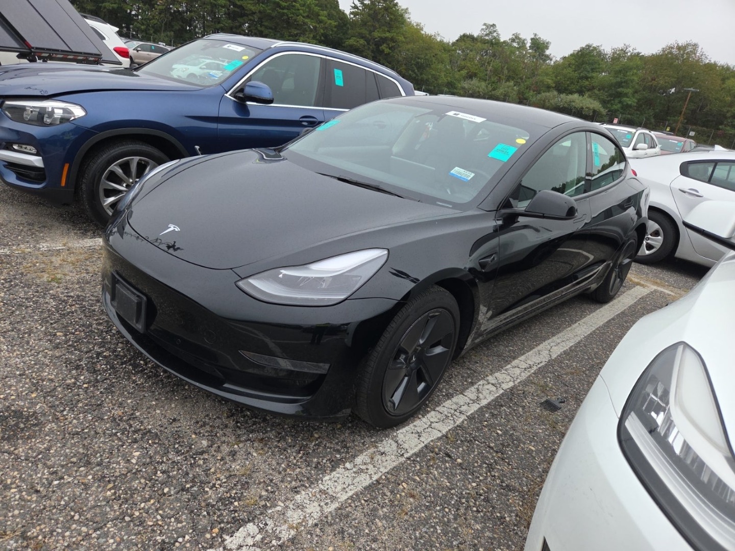 2022 Tesla Model 3 Standard Range Plus photo 3