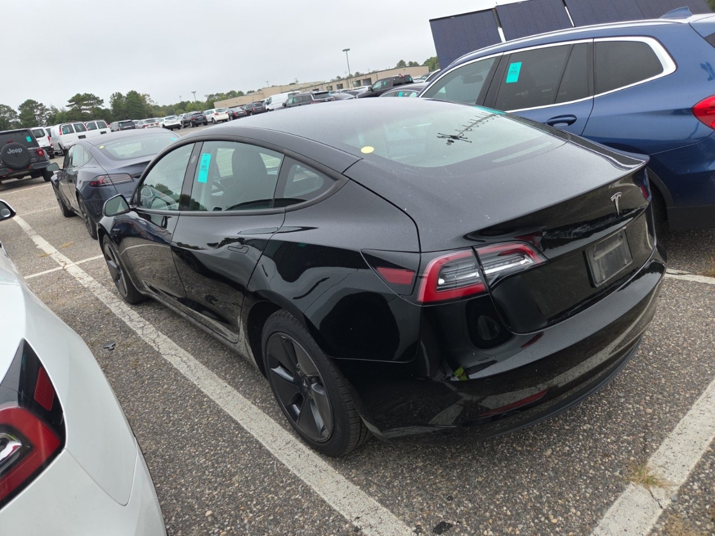 2022 Tesla Model 3 Standard Range Plus photo 4