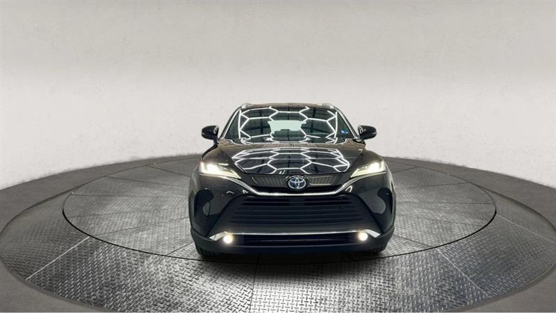 2023 TOYOTA VENZA XLE