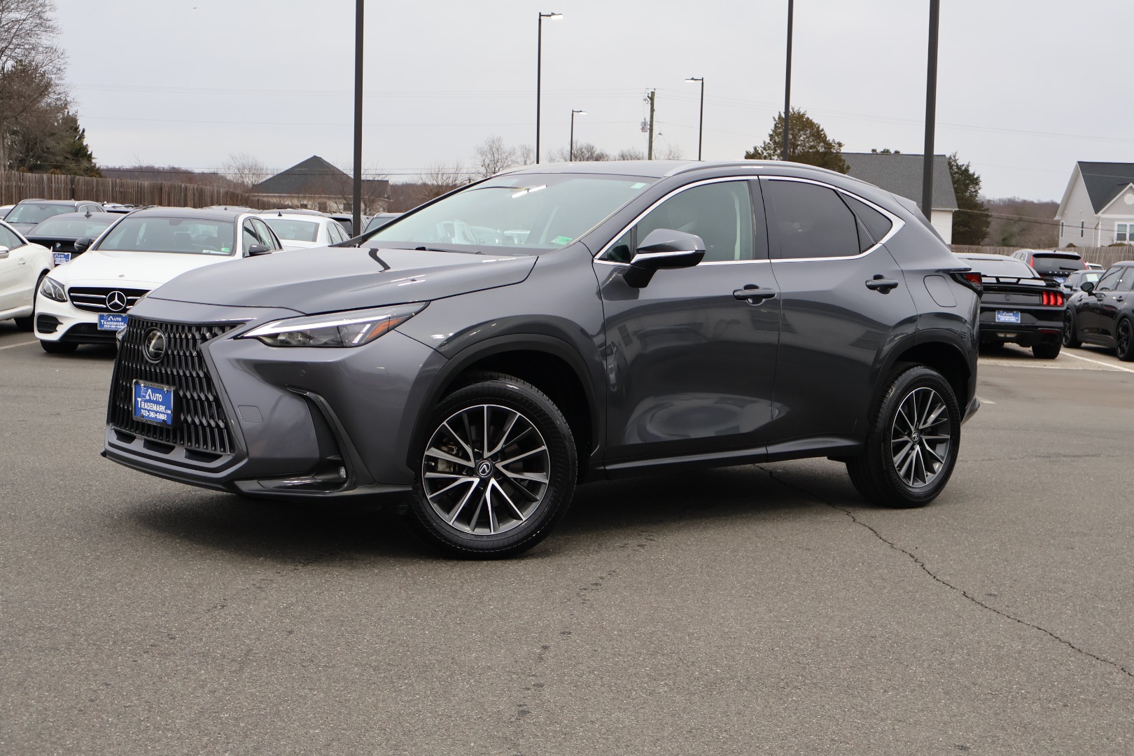 2023 Lexus NX 350's photo