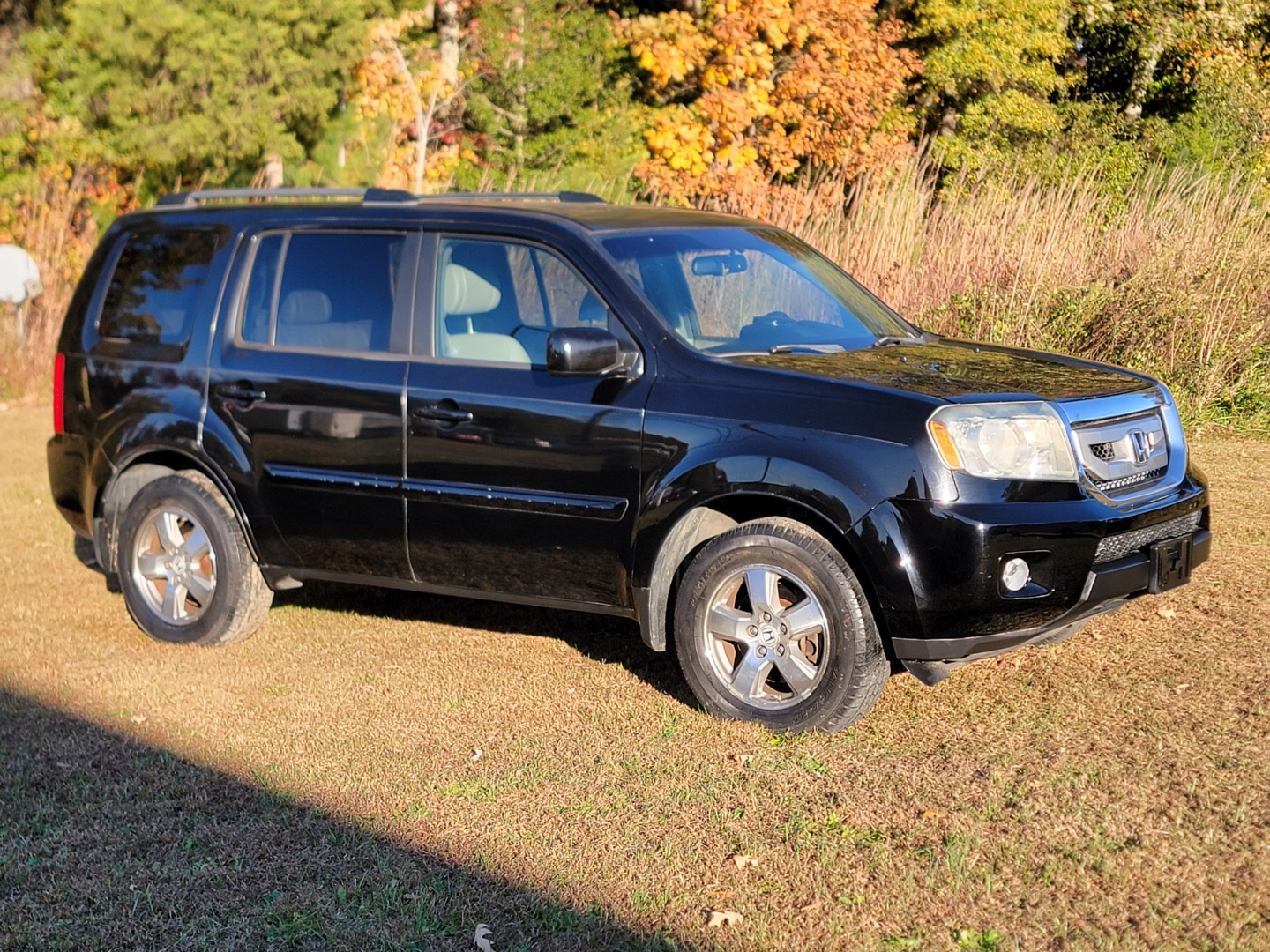 2011 Honda Pilot EX-L's photo