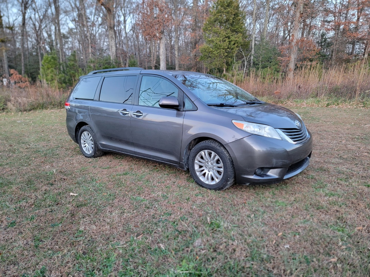 2014 Toyota Sienna XLE's photo