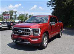 2021 FORD F-150 XL/XLT/LARIAT/KING RANCH/PLATINUM/LIMITED