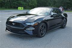 2022 FORD MUSTANG ECOBOOST