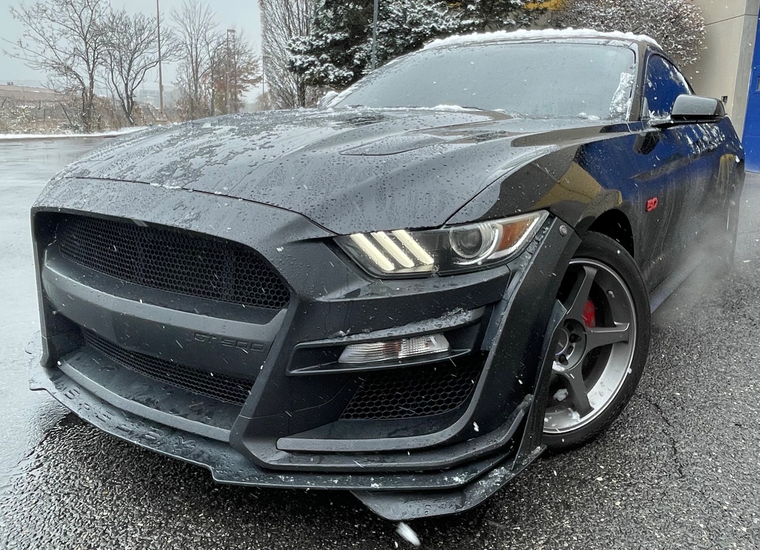 2017 Ford Mustang GT's photo