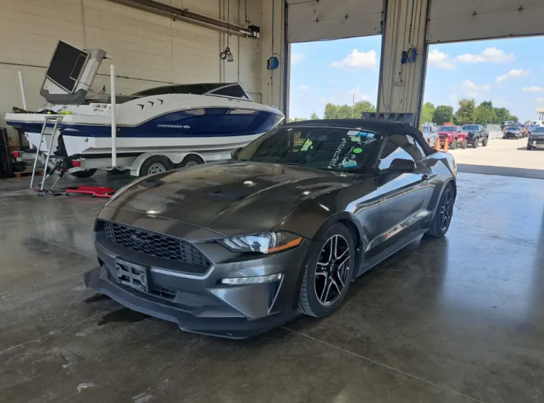 2019 Ford Mustang EcoBoost's photo