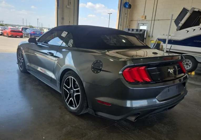 2019 Ford Mustang EcoBoost photo 3