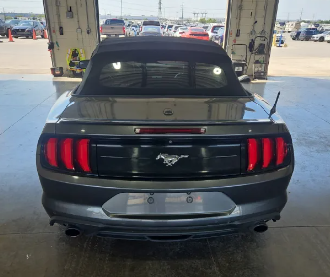 2019 Ford Mustang EcoBoost photo 4
