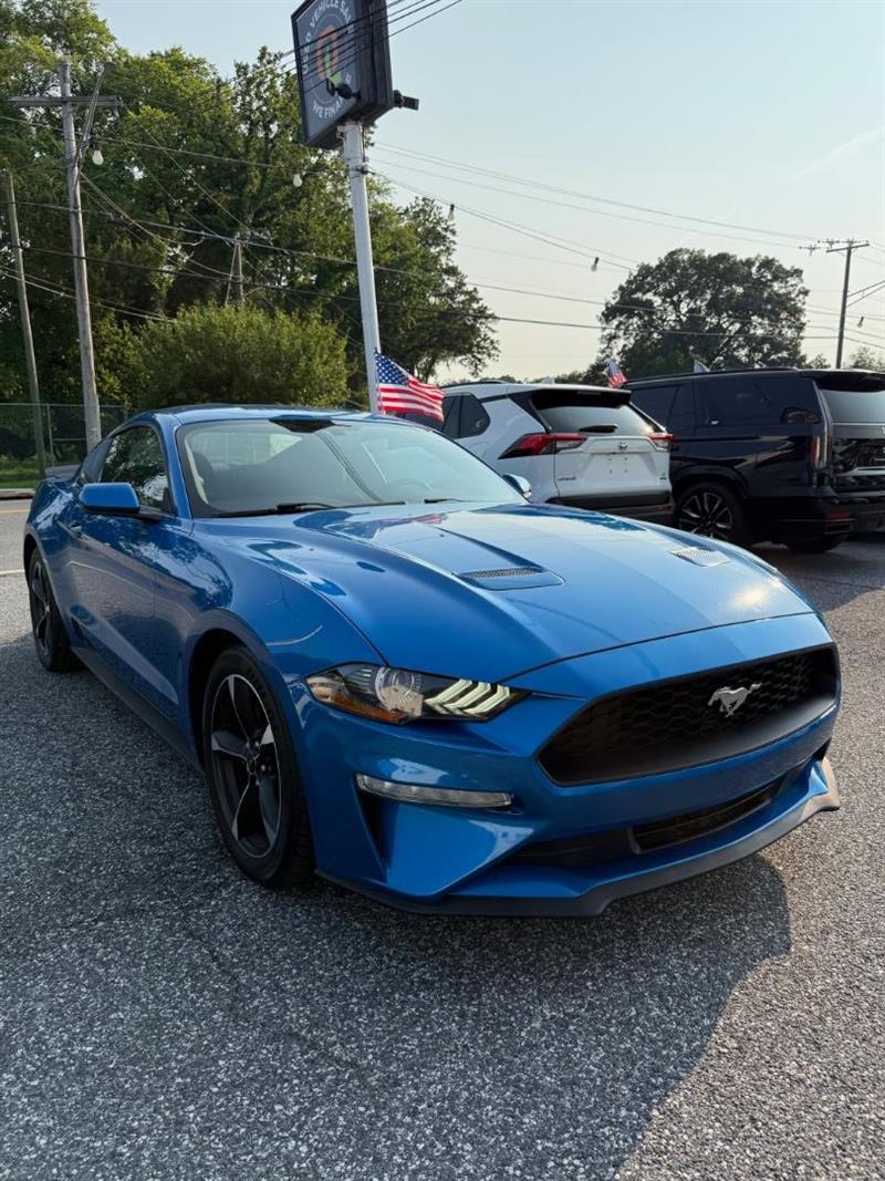 2020 Ford Mustang EcoBoost's photo