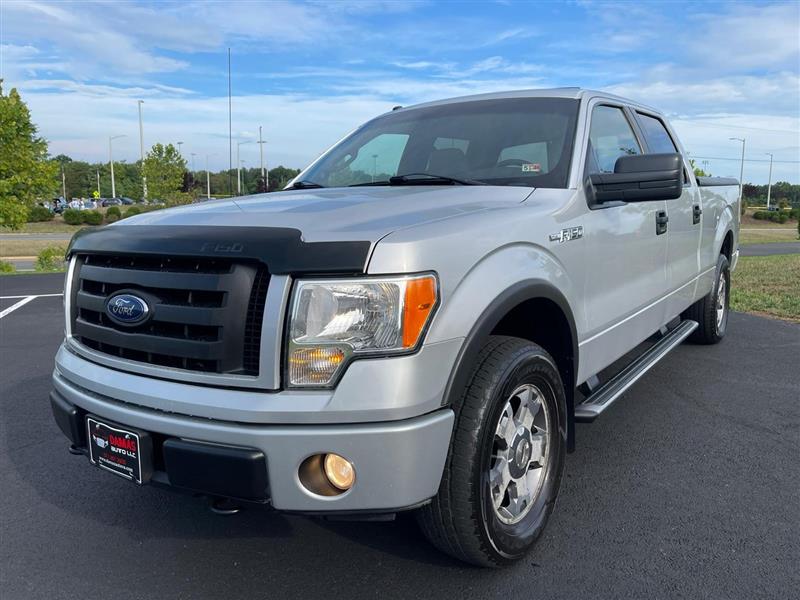 2009 FORD F-150  FX4