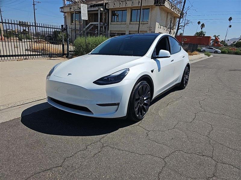 2024 TESLA MODEL Y Performance