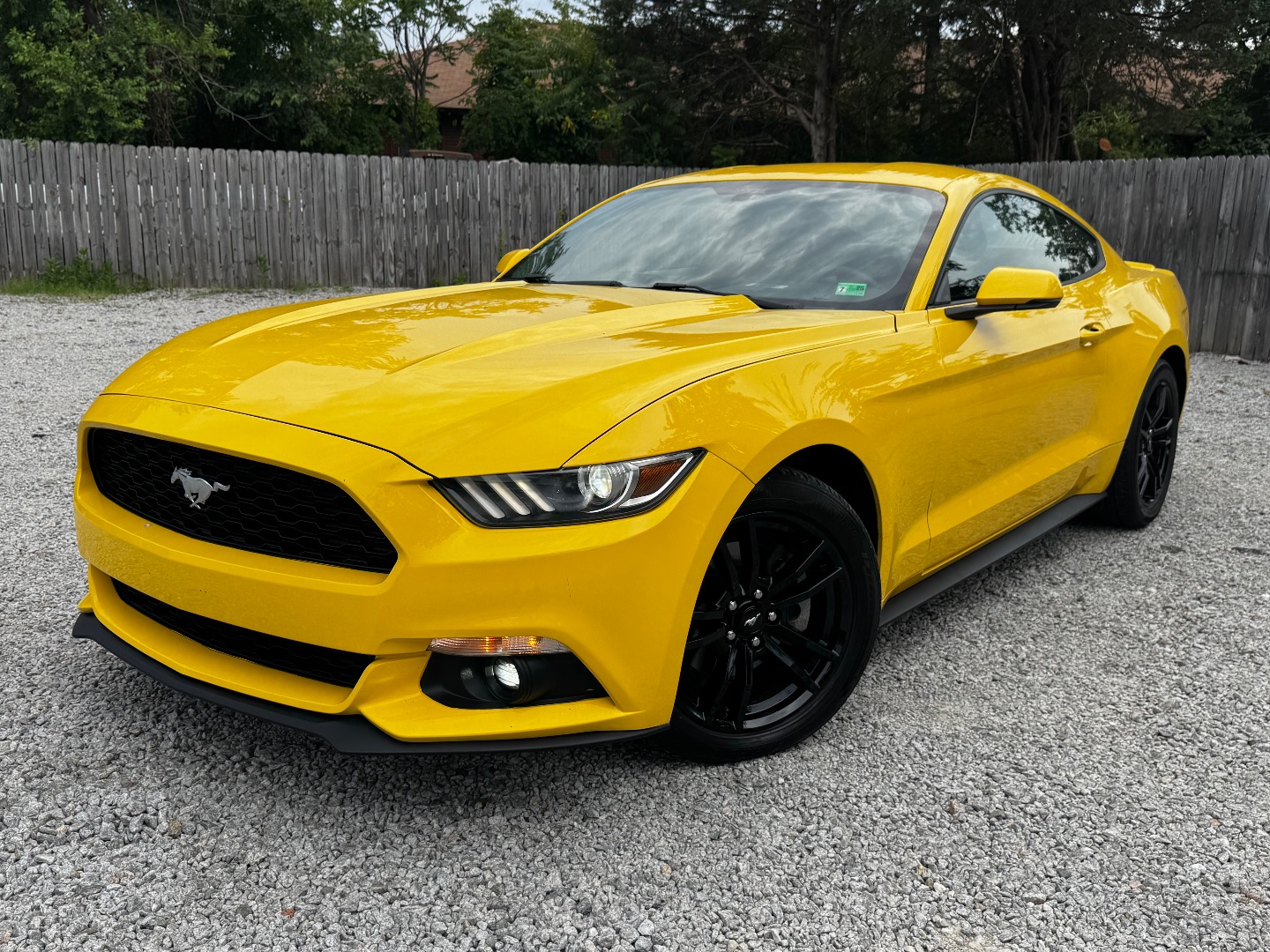 2017 Ford Mustang EcoBoost Premium's photo