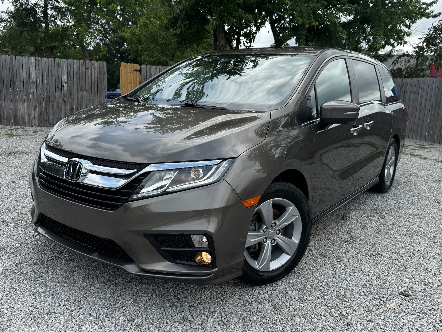 2019 Honda Odyssey EX-L's photo